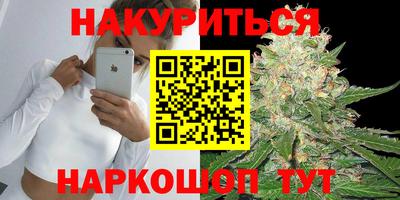 молекула духа Будённовск