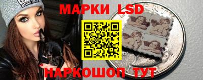 молекула духа Будённовск