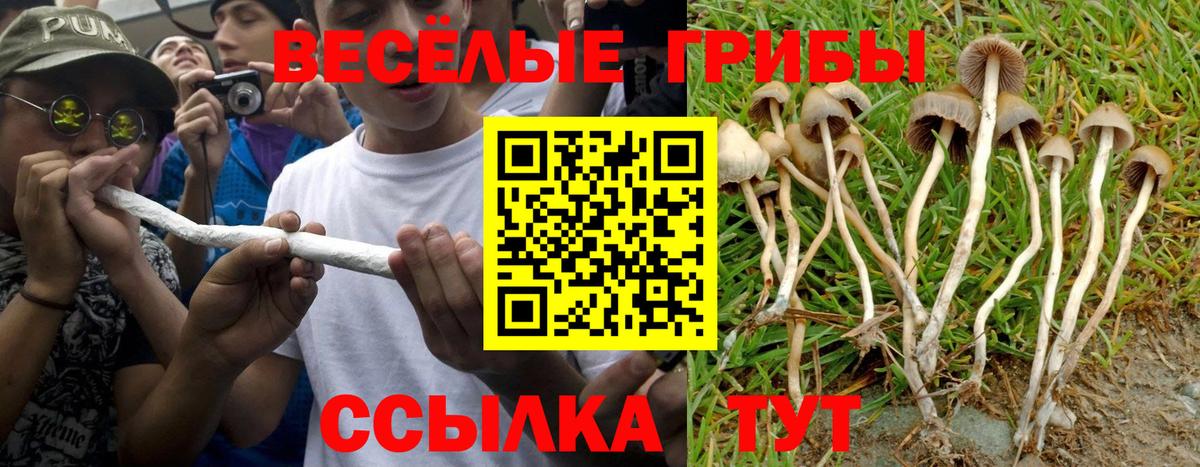 Псилоцибиновые грибы мухоморы Люберцы