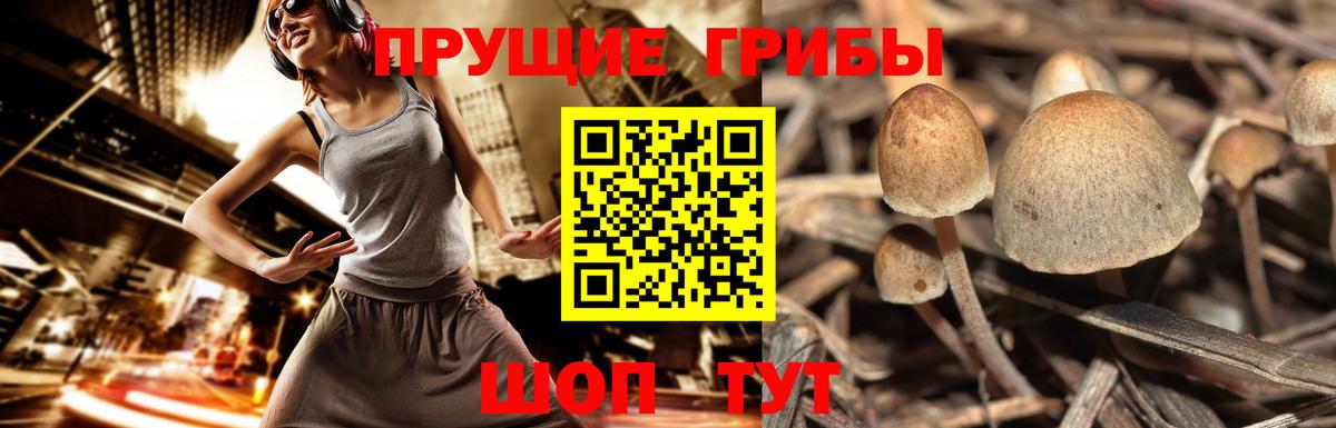 Люберцы  Галлюциногенные грибы мухоморы  Вход с VPN 
